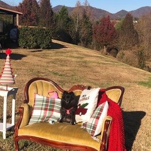 Meet your Posher, MLT